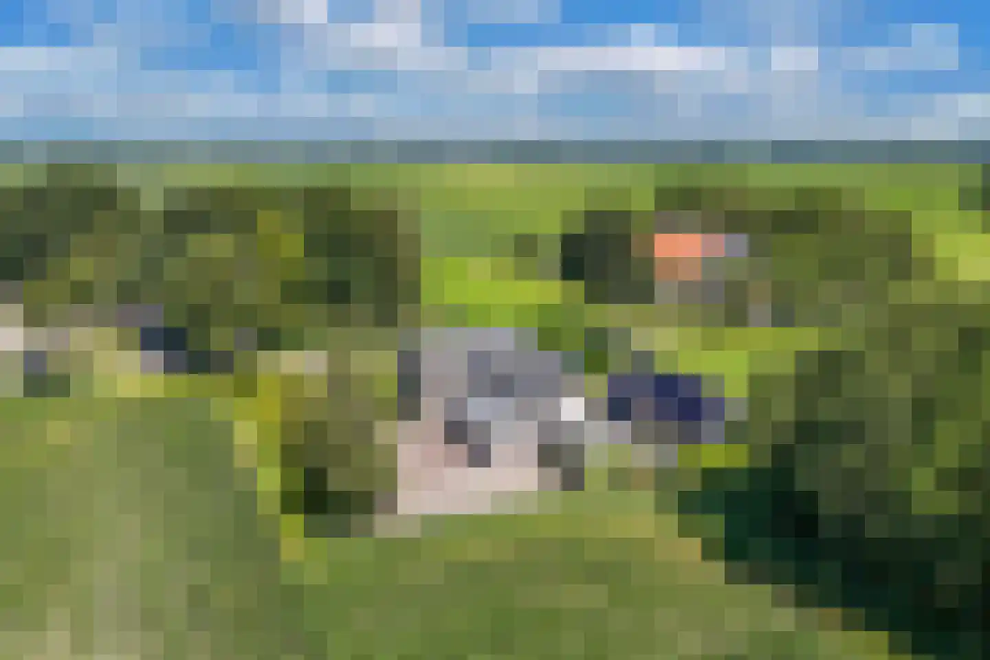 Sonnegaweg 45 Sonnega thumbnail 4