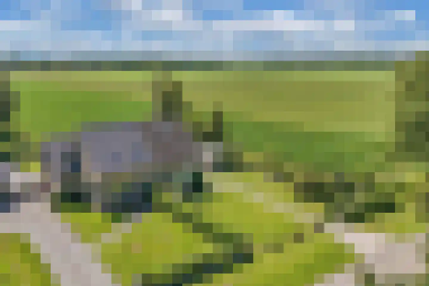 Sonnegaweg 45 Sonnega thumbnail 51