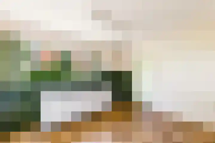 Sonnegaweg 67 Oldetrijne thumbnail 11