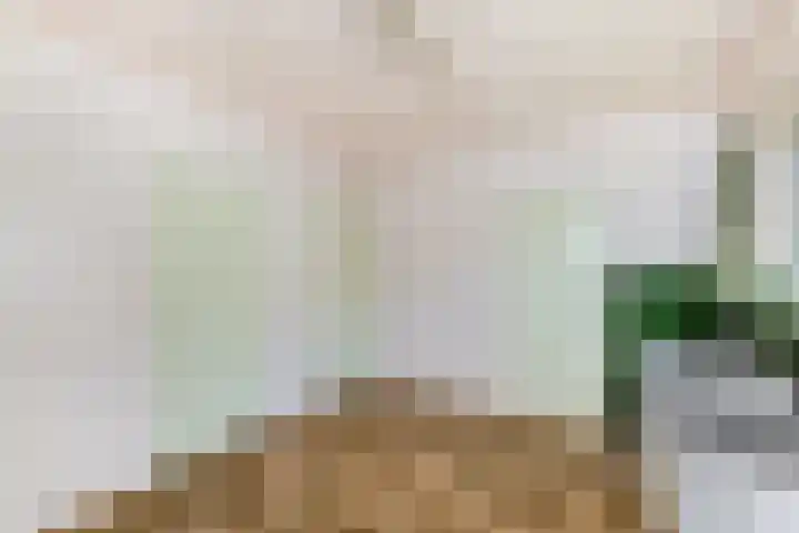 Sonnegaweg 67 Oldetrijne thumbnail 13