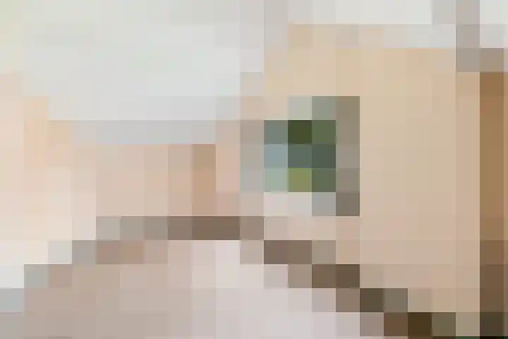 Sonnegaweg 67 Oldetrijne thumbnail 32