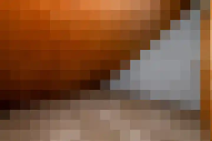 Sonnegaweg 67 Oldetrijne thumbnail 34