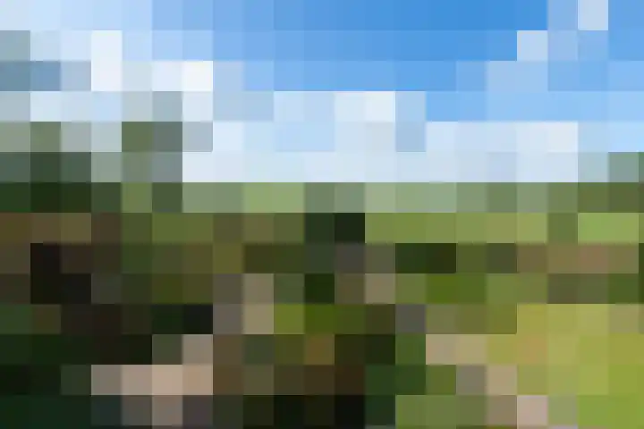 Sonnegaweg 67 Oldetrijne thumbnail 4