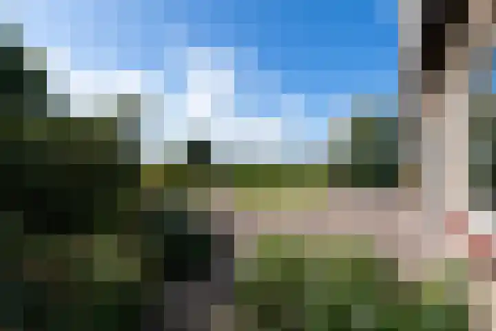 Sonnegaweg 67 Oldetrijne thumbnail 40