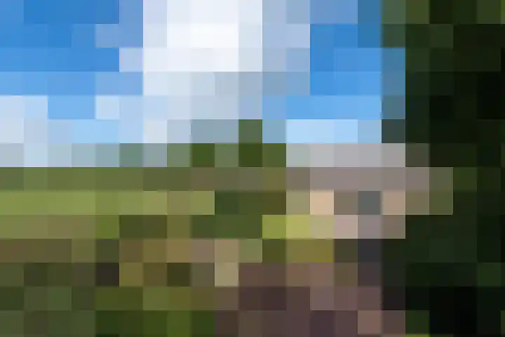 Sonnegaweg 67 Oldetrijne thumbnail 42