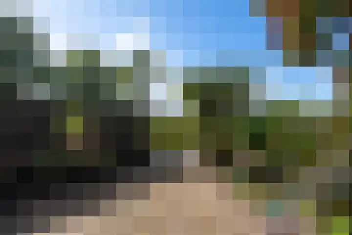 Sonnegaweg 67 Oldetrijne thumbnail 44