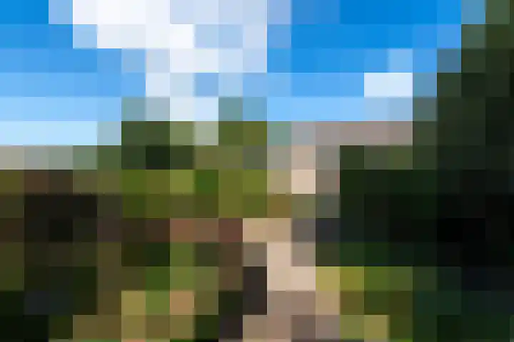 Sonnegaweg 67 Oldetrijne thumbnail 45