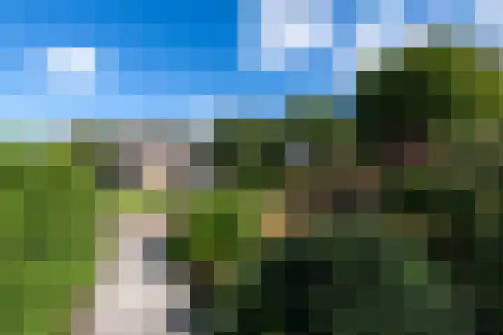 Sonnegaweg 67 Oldetrijne thumbnail 46