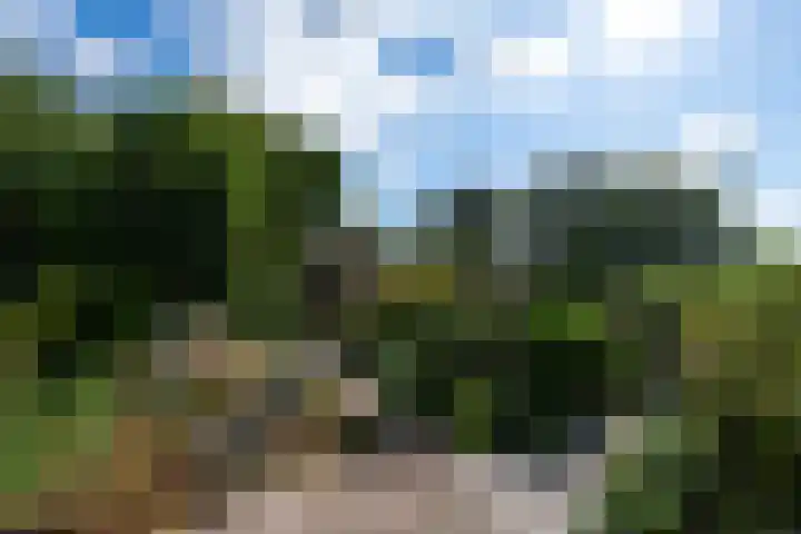 Sonnegaweg 67 Oldetrijne thumbnail 47