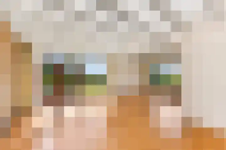 Sonnegaweg 67 Oldetrijne thumbnail 5