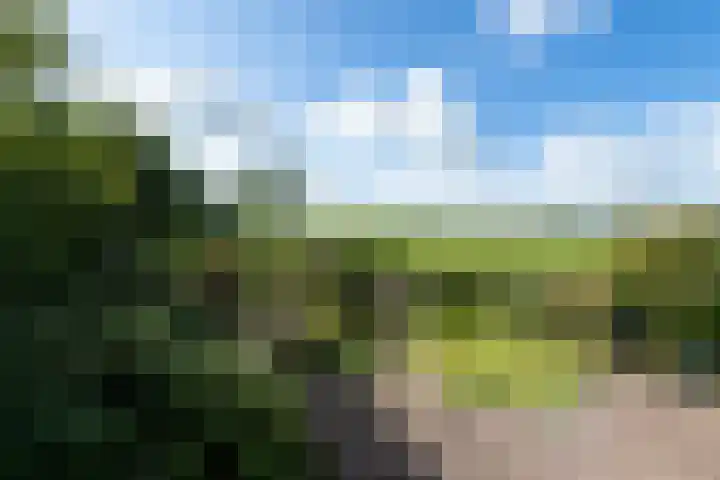 Sonnegaweg 67 Oldetrijne thumbnail 51