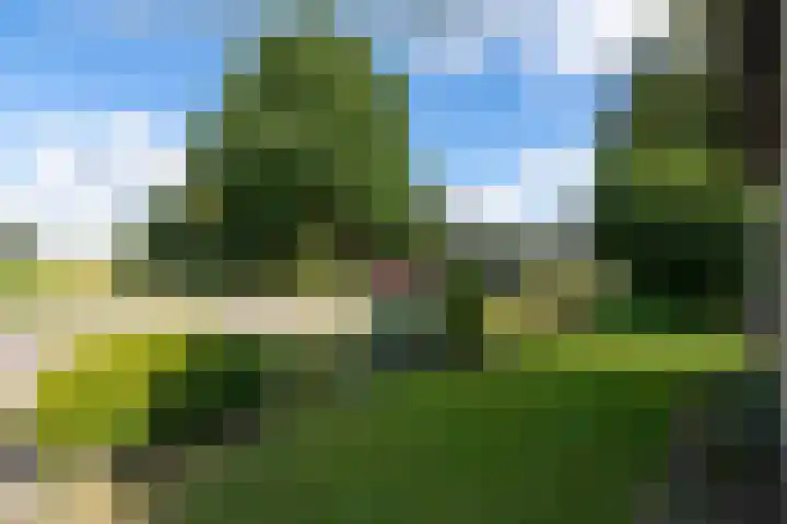 Sonnegaweg 67 Oldetrijne thumbnail 53