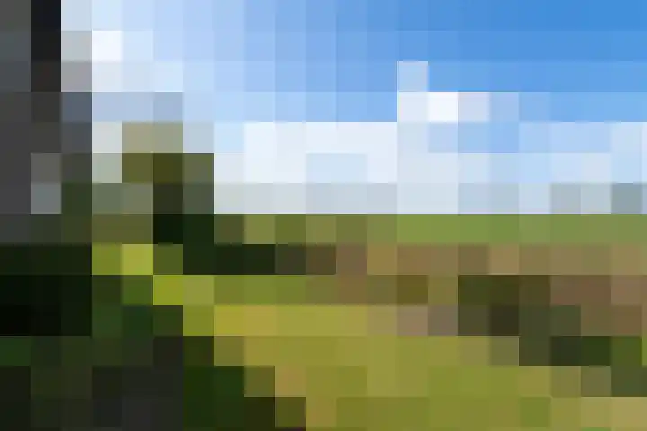 Sonnegaweg 67 Oldetrijne thumbnail 54