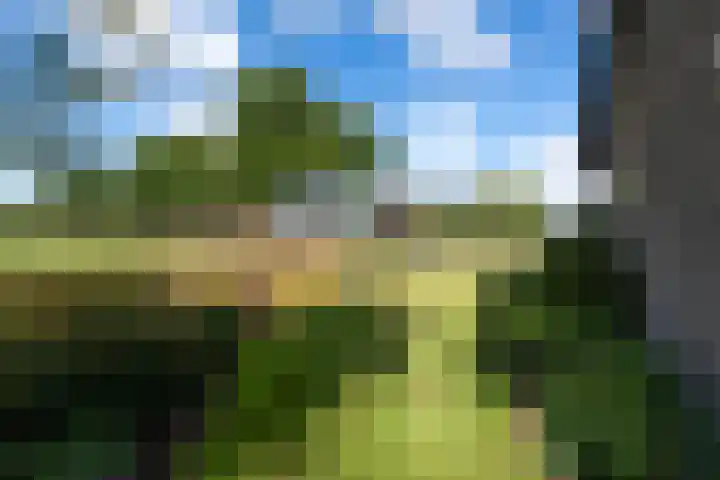 Sonnegaweg 67 Oldetrijne thumbnail 55