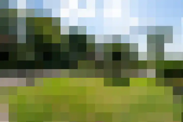 Sonnegaweg 67 Oldetrijne thumbnail 56