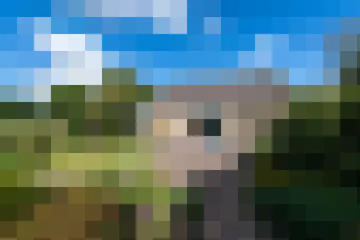 Sonnegaweg 67 Oldetrijne thumbnail 57