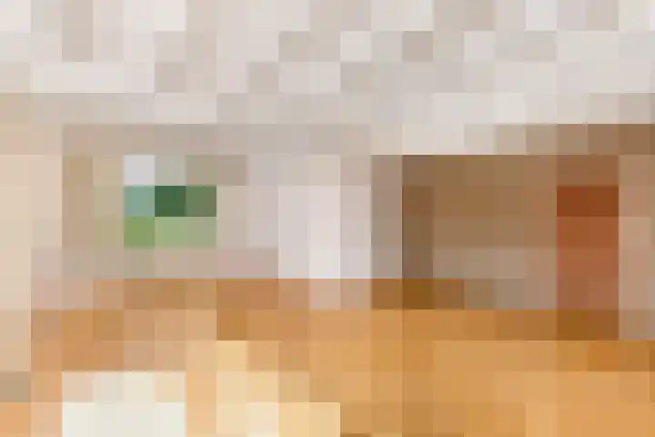 Sonnegaweg 67 Oldetrijne thumbnail 6