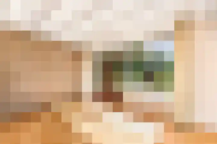 Sonnegaweg 67 Oldetrijne thumbnail 8