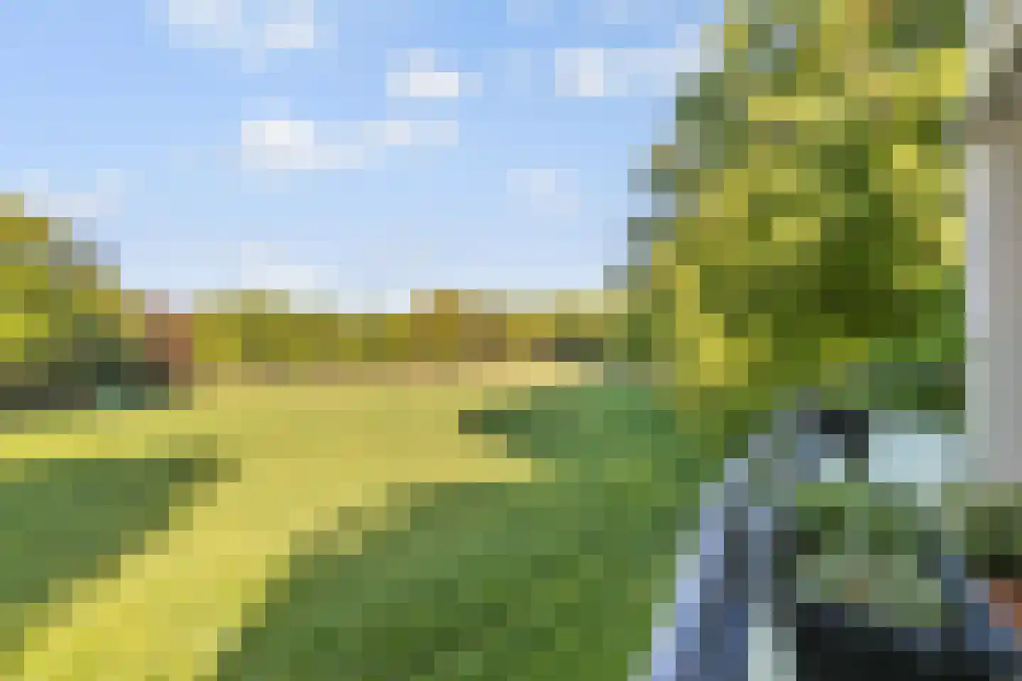 Sonnenberglaan 122 Oosterbeek thumbnail 17
