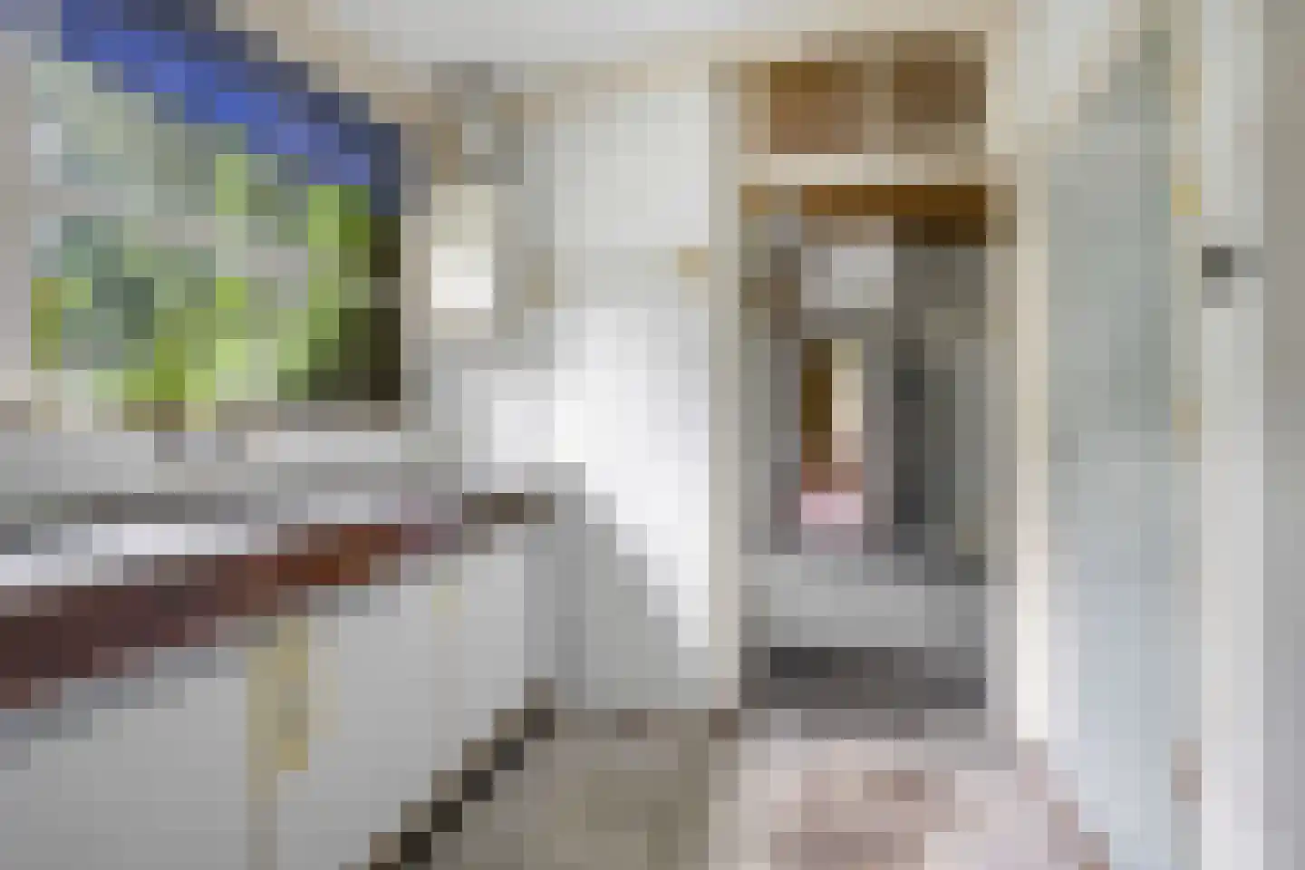 Sonnenberglaan 5 Oosterbeek thumbnail 21