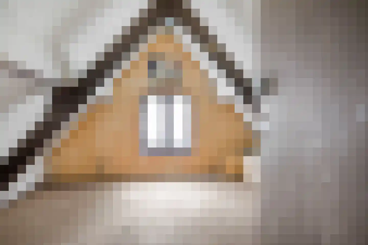 Sonnenberglaan 5 Oosterbeek thumbnail 33