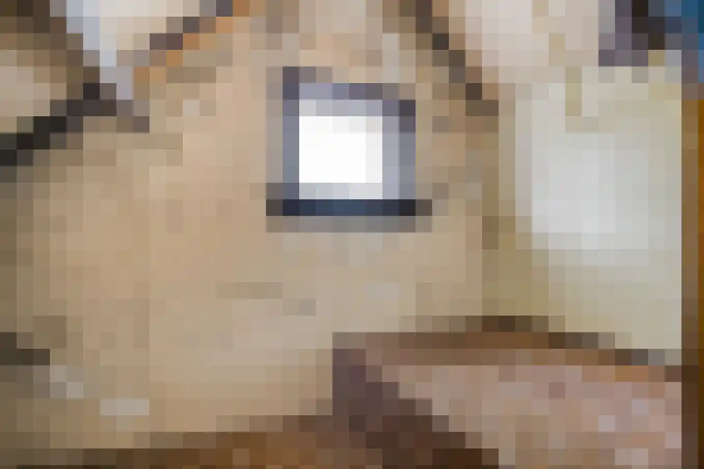 Sonnenberglaan 5 Oosterbeek thumbnail 34