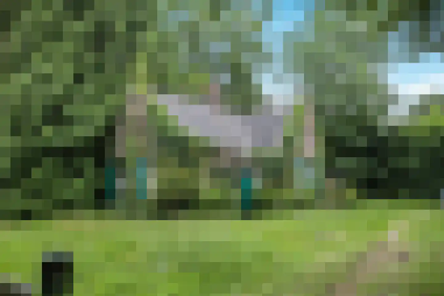 Sonnenberglaan 5 Oosterbeek thumbnail 36
