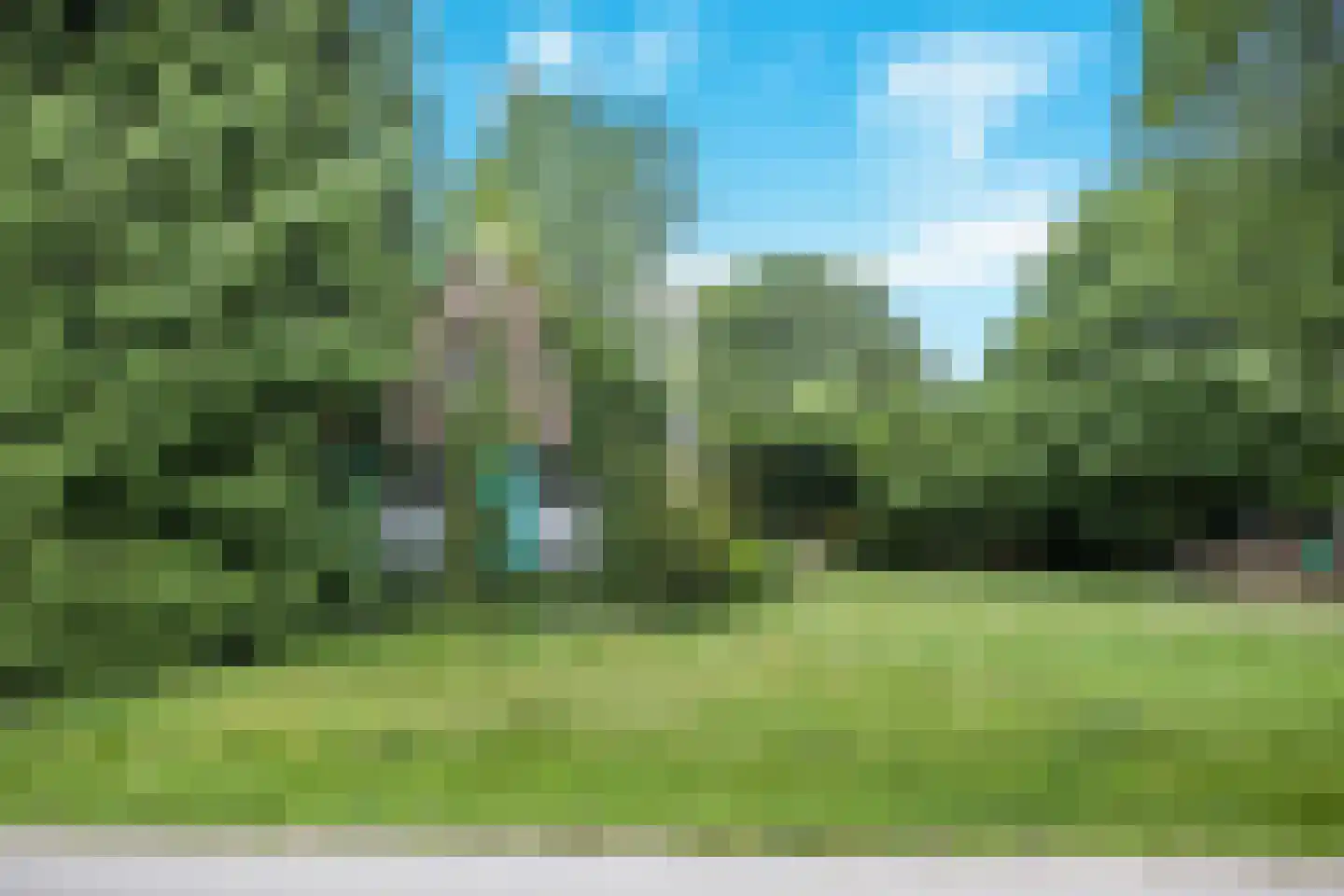 Sonnenberglaan 5 Oosterbeek thumbnail 41