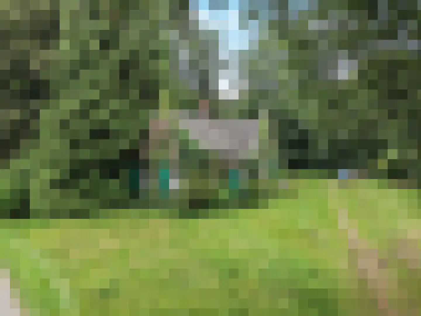 Sonnenberglaan 5 Oosterbeek thumbnail 42