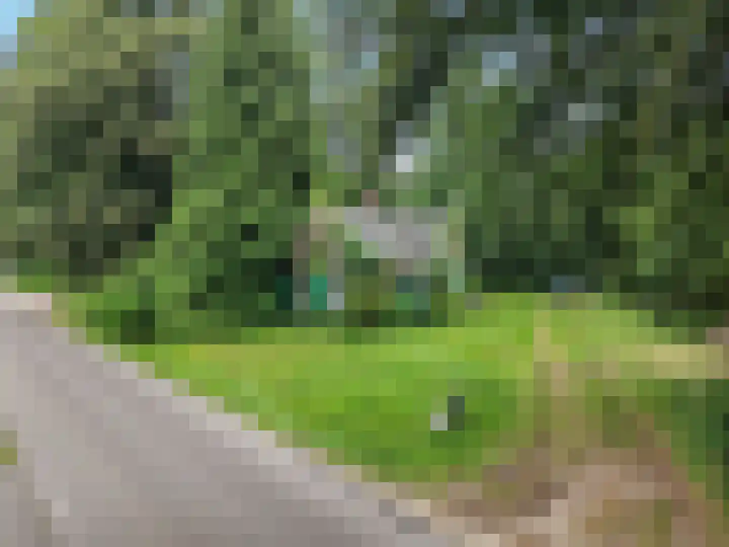 Sonnenberglaan 5 Oosterbeek thumbnail 43