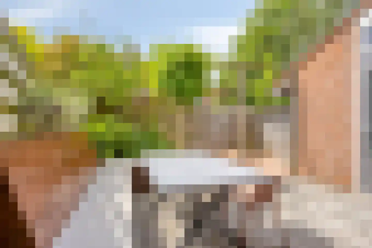 Sonnenburg 10 Alkmaar thumbnail 37