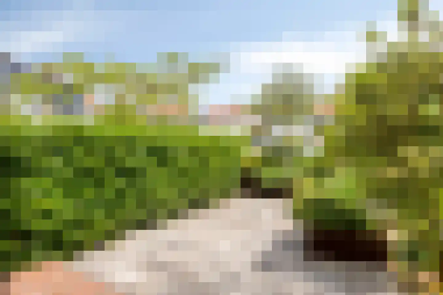 Sonnenburg 10 Alkmaar thumbnail 39