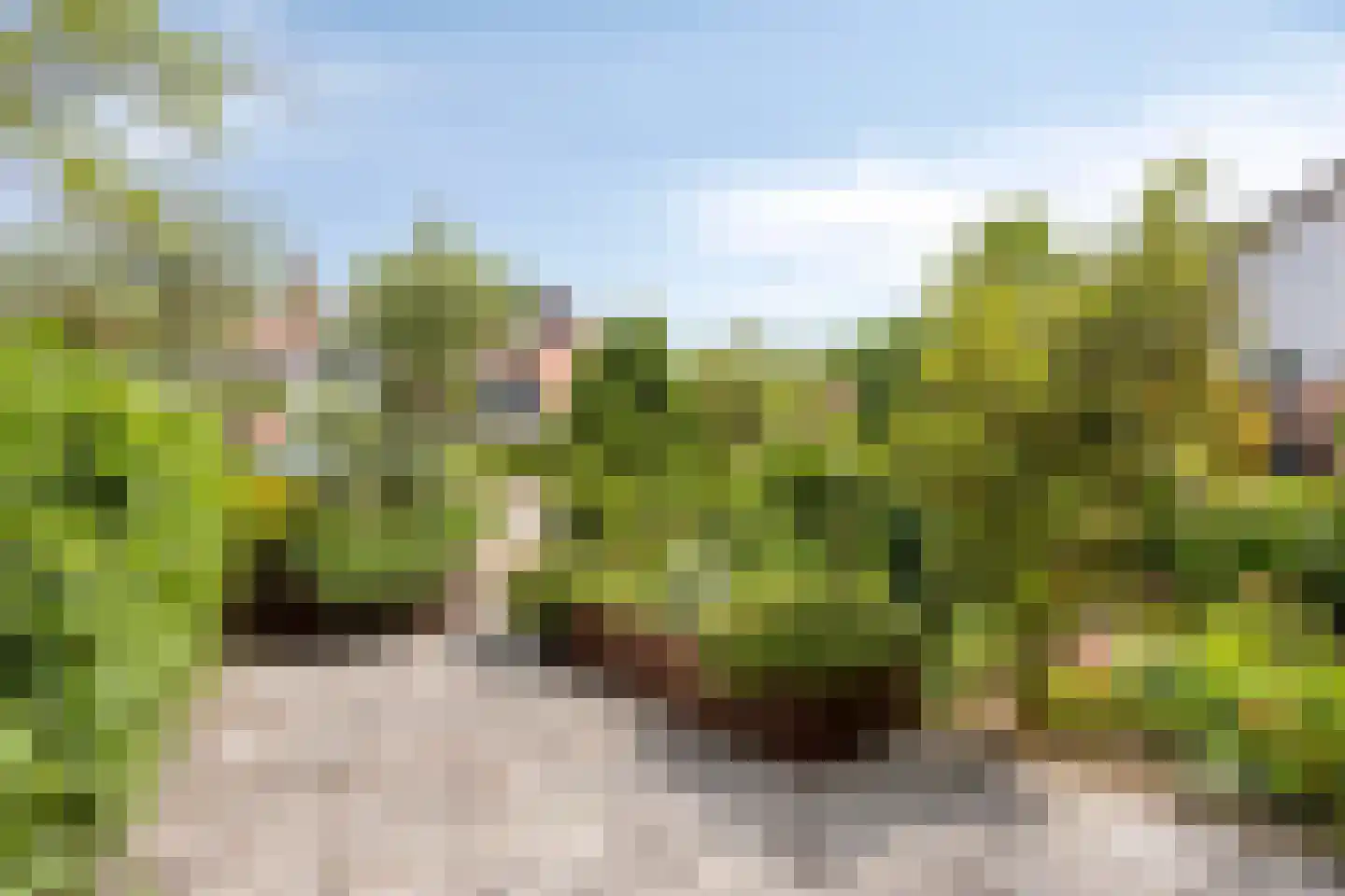 Sonnenburg 10 Alkmaar thumbnail 40