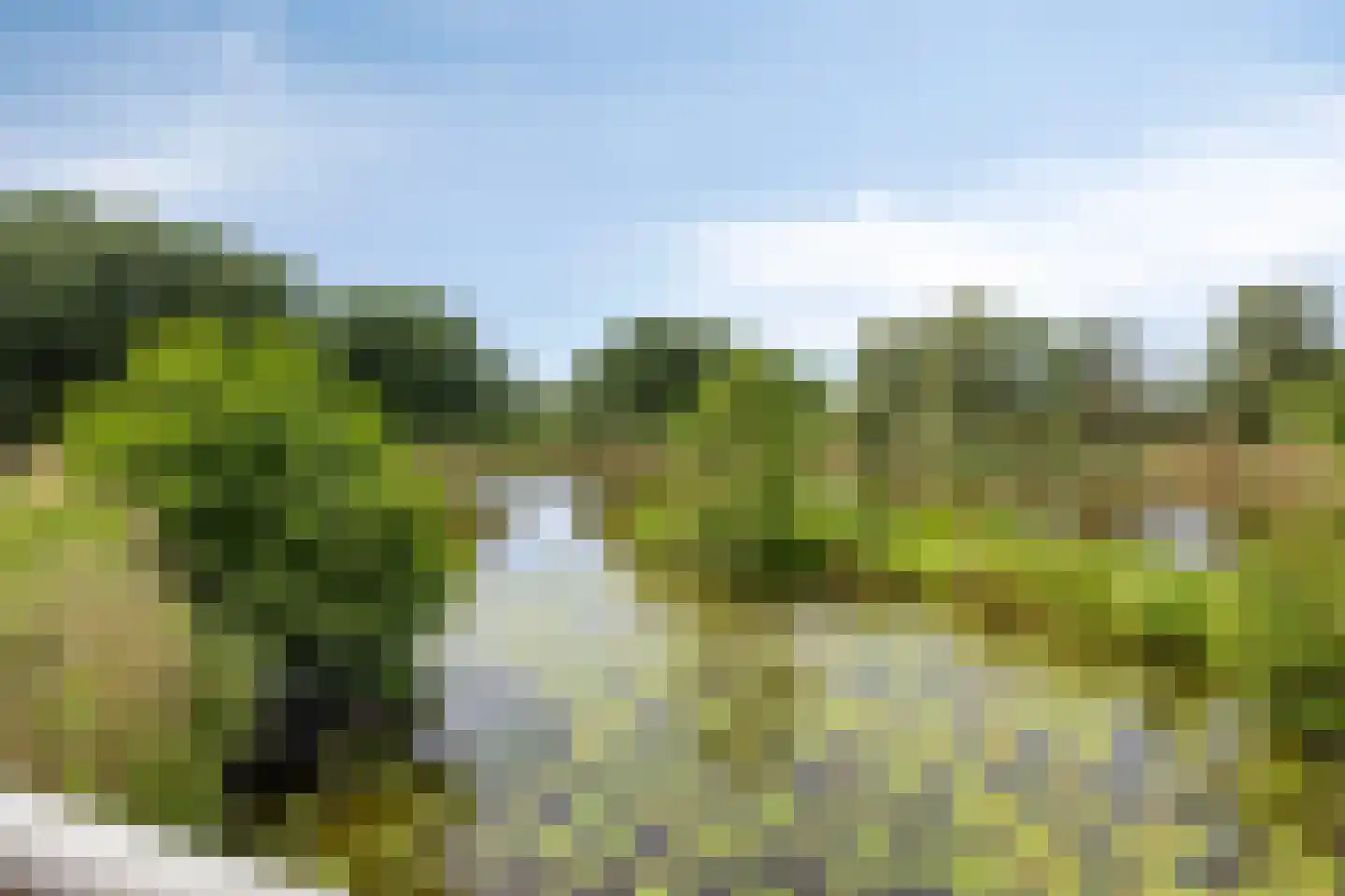 Sonnenburg 10 Alkmaar thumbnail 44