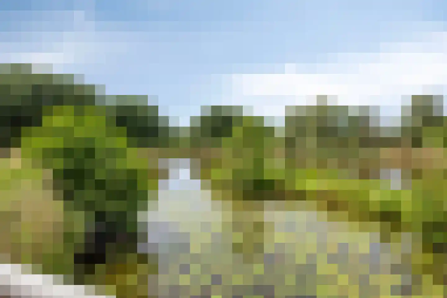 Sonnenburg 10 Alkmaar thumbnail 45