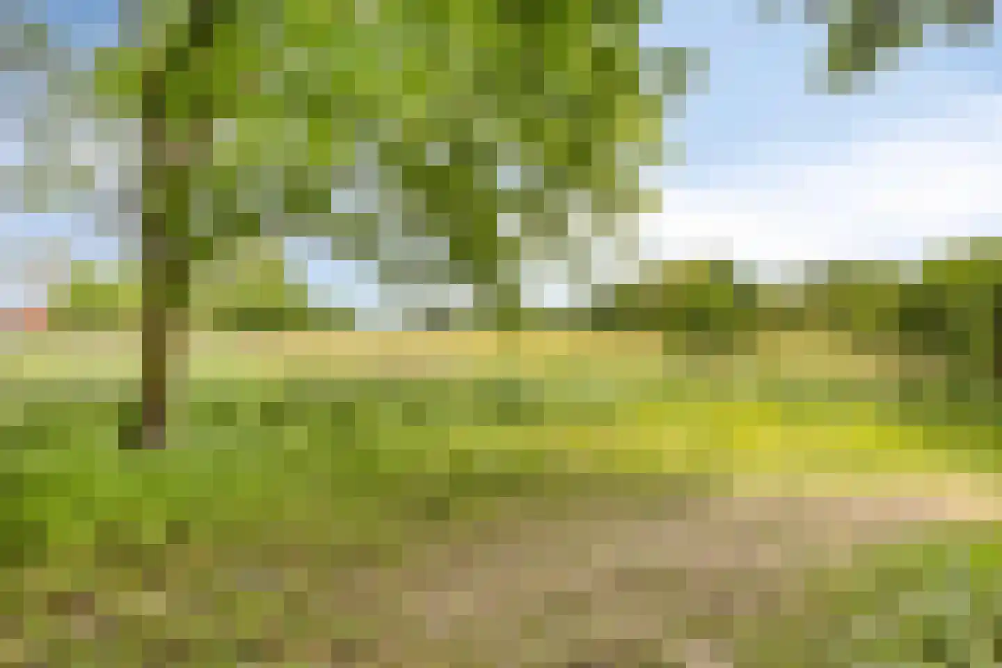 Sonnenburg 10 Alkmaar thumbnail 45