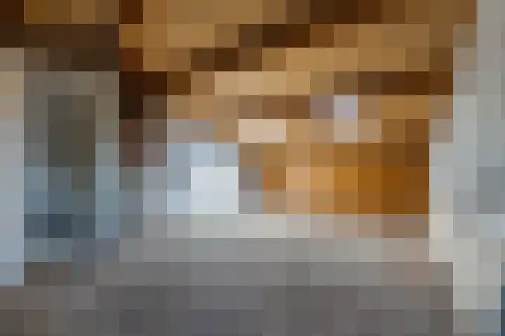 Sonnenburg 14 Alkmaar thumbnail 17