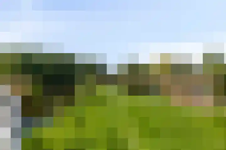 Sonnenburg 14 Alkmaar thumbnail 23