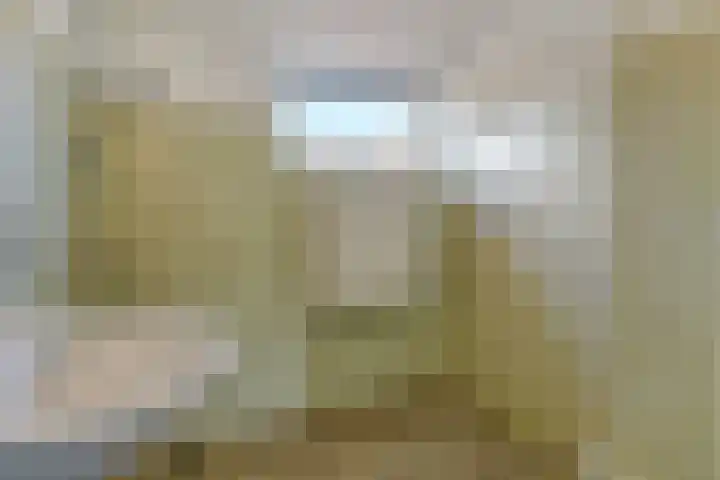 Sonnenburg 6 Alkmaar thumbnail 16