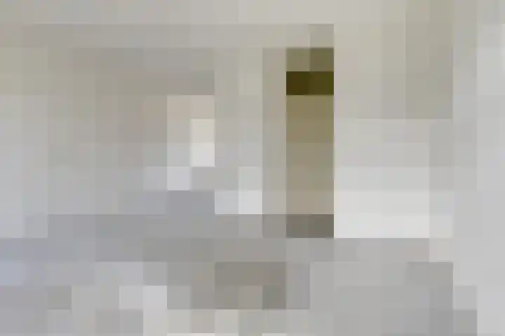 Sonnenburg 6 Alkmaar thumbnail 8