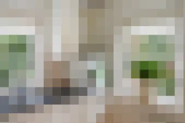 Sonnevancklaan 13 Harderwijk thumbnail 16