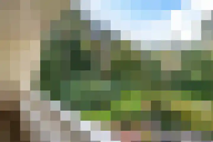 Sonnevancklaan 13 Harderwijk thumbnail 30