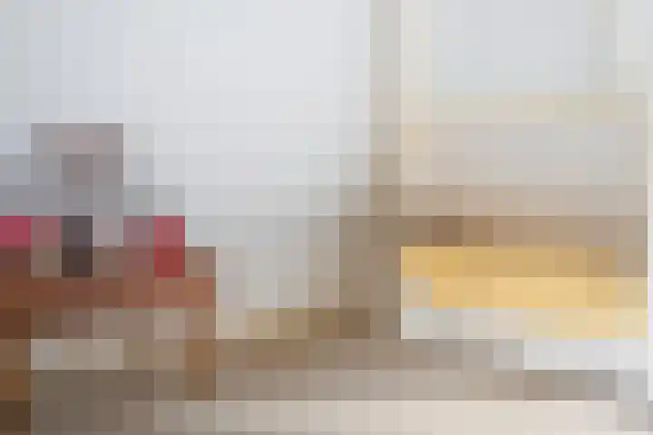 Sonnevancklaan 13 Harderwijk thumbnail 33