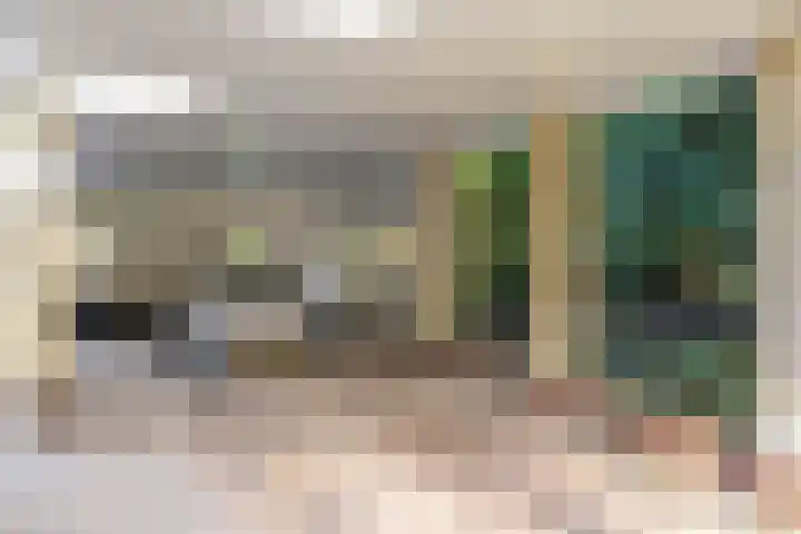 Sonnevancklaan 13 Harderwijk thumbnail 36