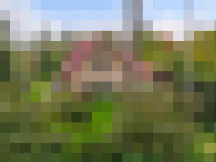 Sonnevancklaan 13 Harderwijk thumbnail 37