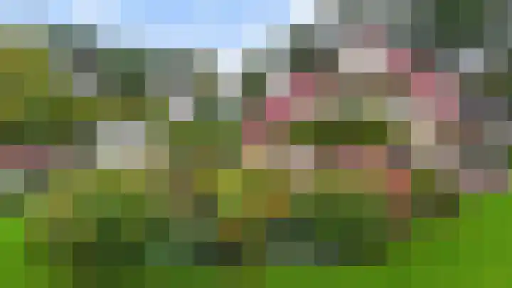 Sonnevancklaan 13 Harderwijk thumbnail 38