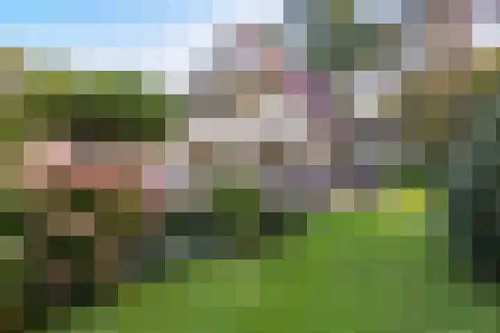 Sonnevancklaan 13 Harderwijk thumbnail 39