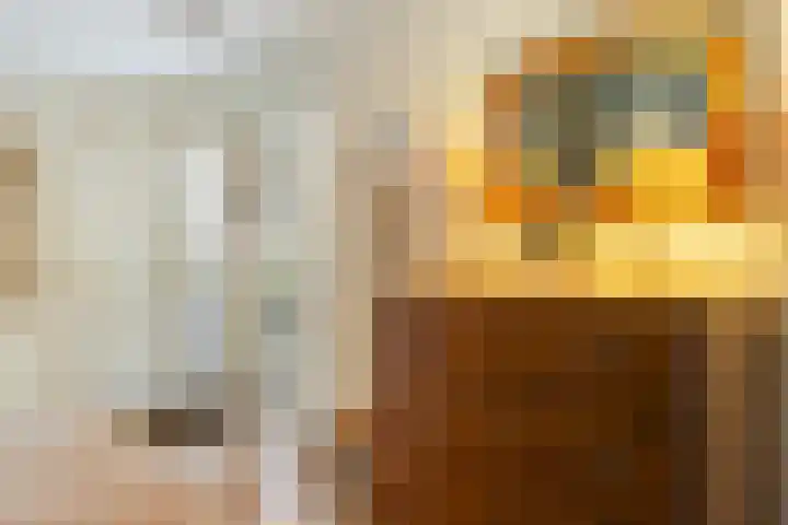 Sonnevancklaan 13 Harderwijk thumbnail 4