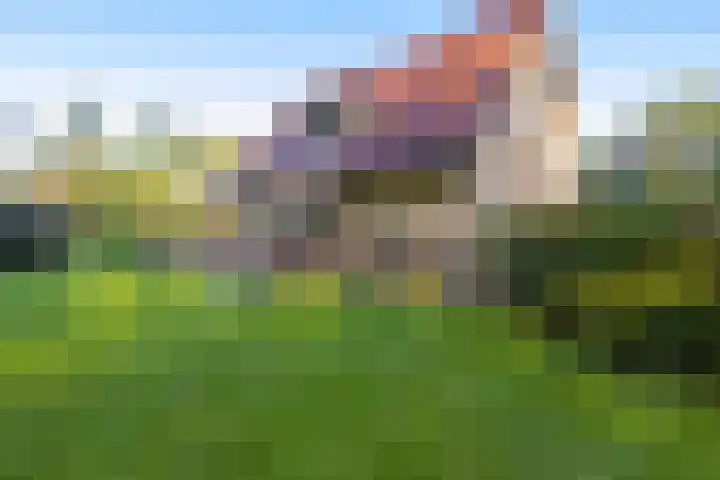 Sonnevancklaan 13 Harderwijk thumbnail 40