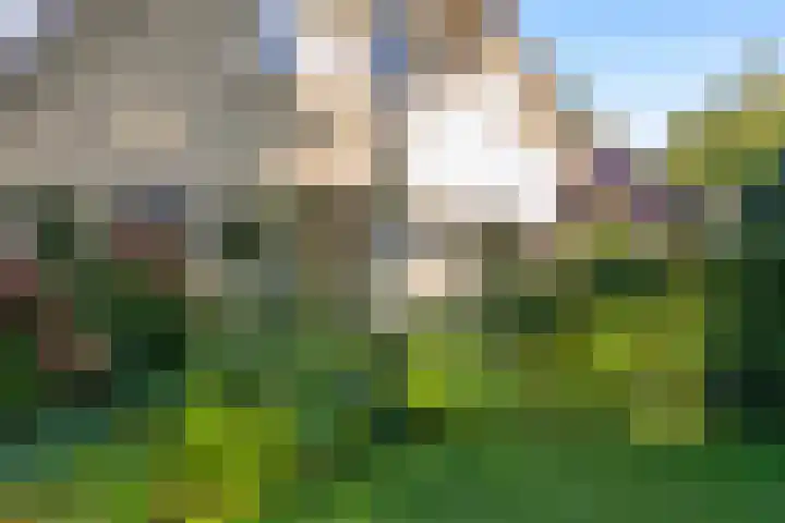 Sonnevancklaan 13 Harderwijk thumbnail 41